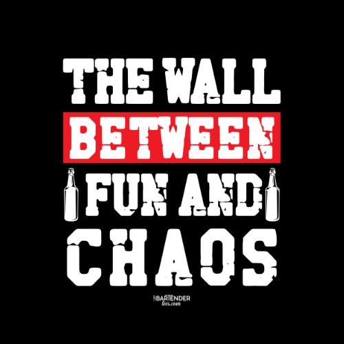 "The Wall Between Fun and Chaos" Softstyle T-Shirt